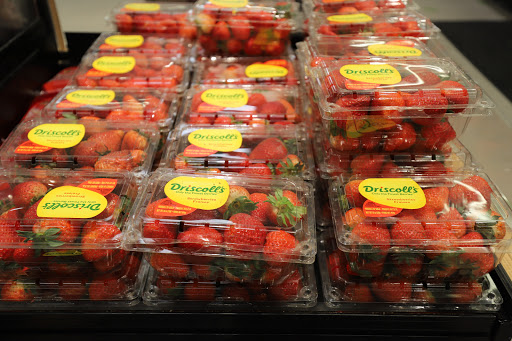 Grocery Store «Food Lion», reviews and photos, 191 St Patricks Dr, Waldorf, MD 20603, USA