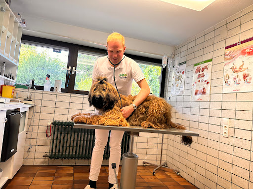 Tierarztpraxis Wolfgang Schmidt unter Kaiserslautern, 