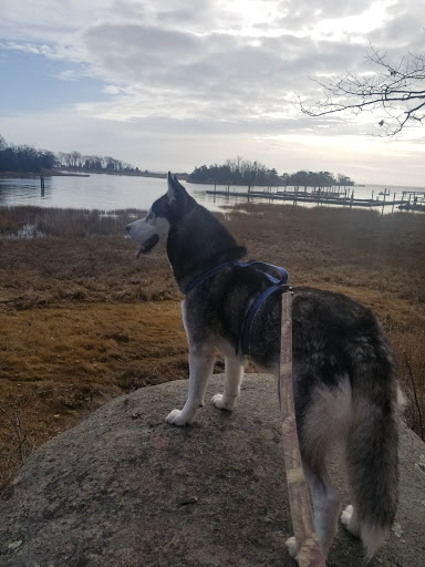 State Park «Farm River State Park», reviews and photos, Mansfield Grove Road, East Haven, CT 06512, USA