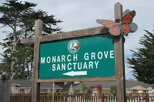 Monarch Butterfly Sanctuary image