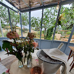 Photo n°1 de l'avis de Mia. fait le 06/01/2020 à 16:59 sur le  Villa de Donatis à Casarano