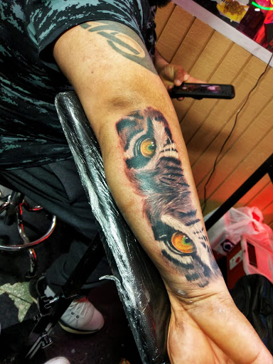 Explore dog bone tattoo ideas, creative tattoo ideas in Mcallen, available at House of Tattoos