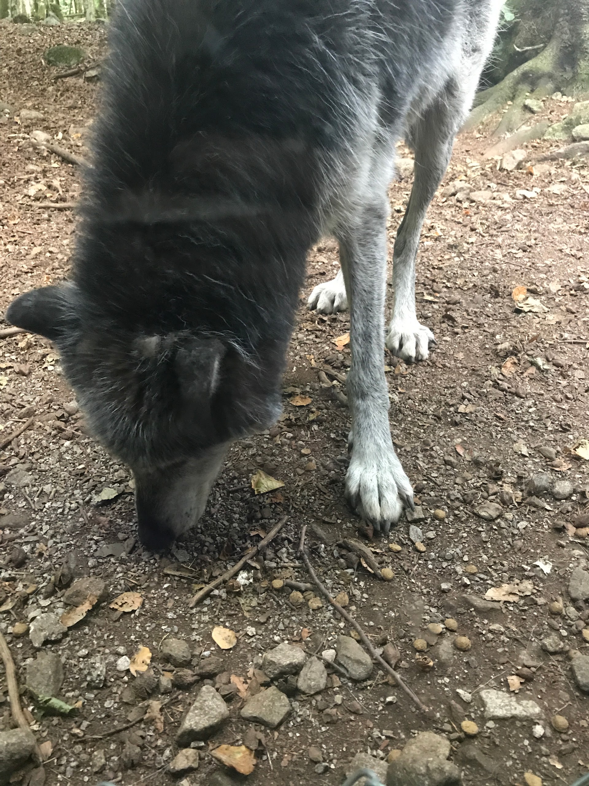 Photo n° 2 de l'avis de jean-luc.o fait le 06/08/2017 à 09:28