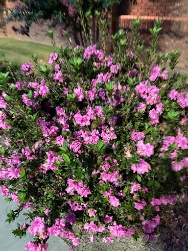 Supermarket «ALDI», reviews and photos, 3665 Vandora Springs Rd, Fort Mill, SC 29708, USA