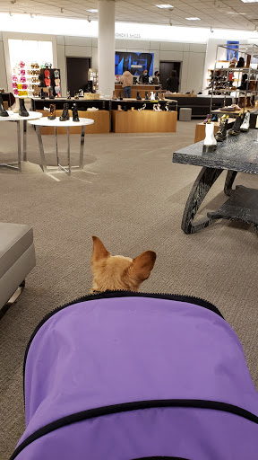 Department Store «Nordstrom Alderwood Mall», reviews and photos, 3200 184th St SW, Lynnwood, WA 98037, USA