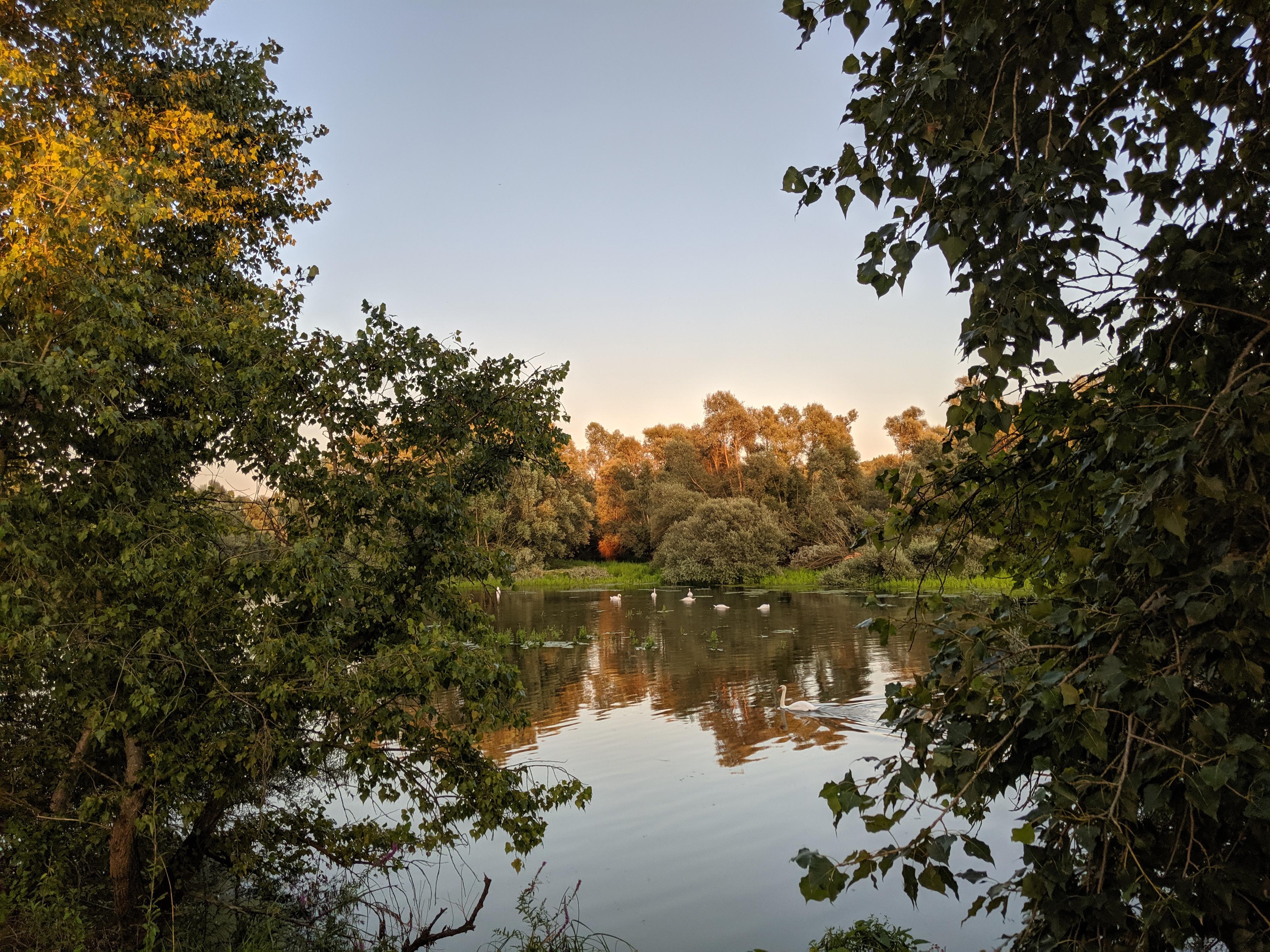 Photo n° 1 de l'avis de N. fait le 29/08/2019 à 16:35