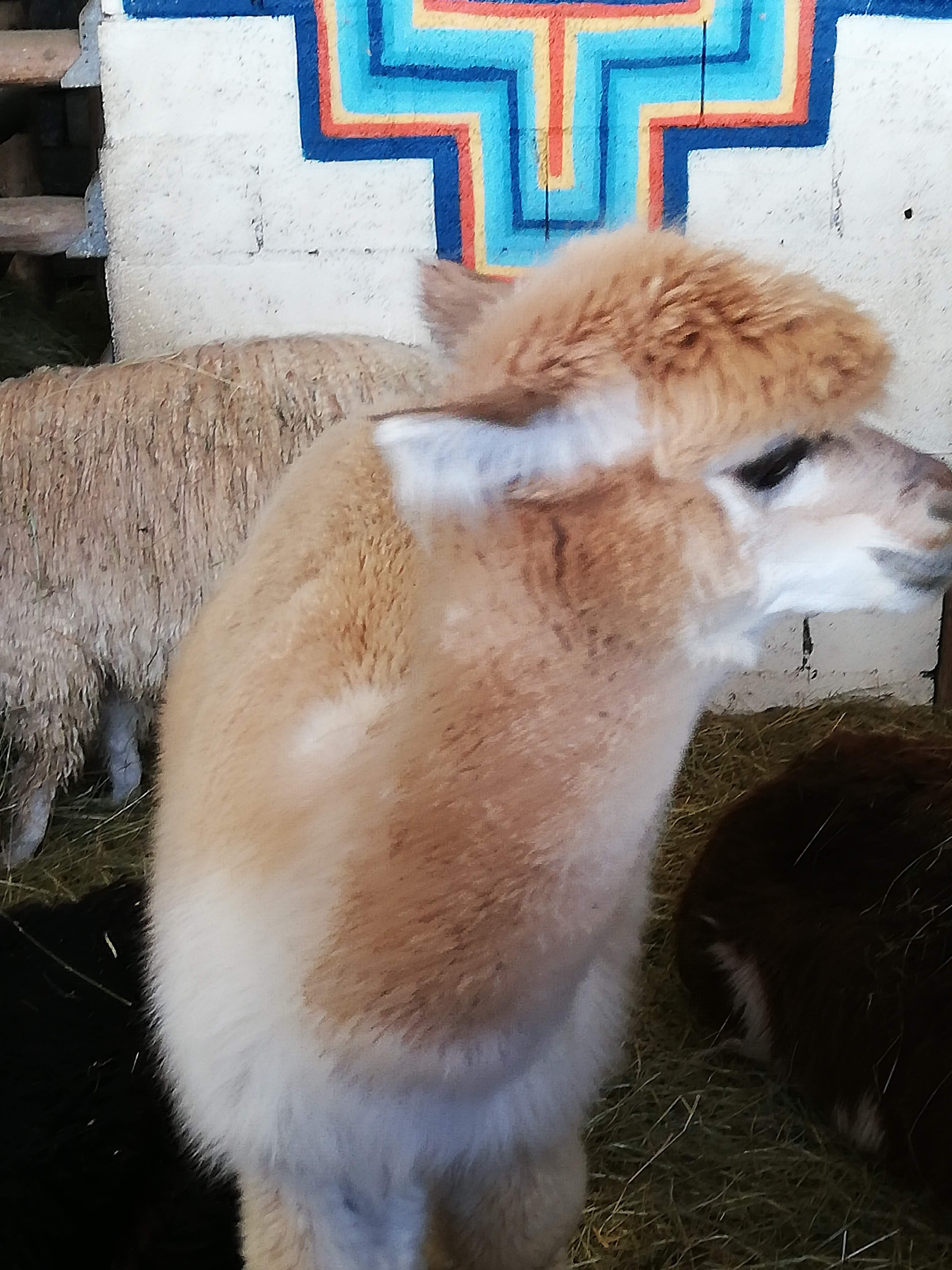 Photo n° 1 de l'avis de claude.o fait le 20/03/2021 à 17:40