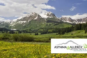 Asthma & Allergy Associates, P.C. image