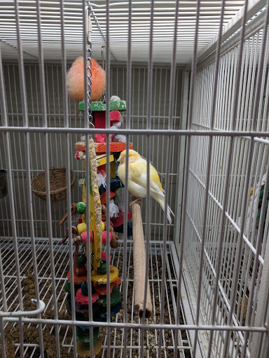 Pet Supply Store «Pet Supplies Plus», reviews and photos, 7954 Brewerton Rd #400, Cicero, NY 13039, USA