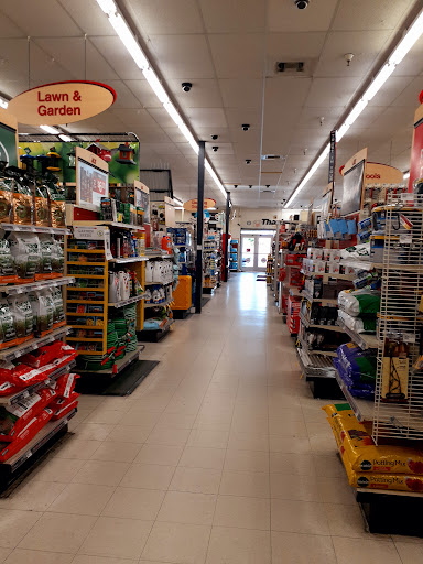Hardware Store «Sine Ace Hardware», reviews and photos, 7150 N 51st Ave, Glendale, AZ 85301, USA
