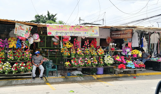 Lottery houses San Pedro Sula