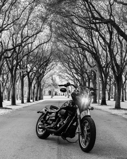 Motorcycle Dealer «Space Coast Harley-Davidson», reviews and photos, 1440 Sportsman Ln NE, Palm Bay, FL 32905, USA