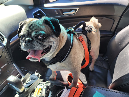 548 Rte 7b N, North Clarendon, VT 05759, USA