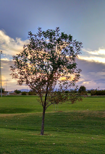 Recreation Center «Tumbleweed Recreation Center», reviews and photos, 745 E Germann Rd, Chandler, AZ 85286, USA