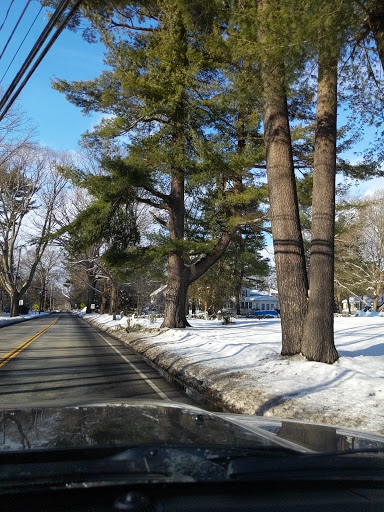 Public Golf Course «Sandy Burr Country Club», reviews and photos, 103 Cochituate Rd, Wayland, MA 01778, USA
