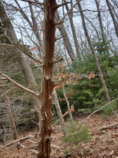 Chevrolet Dealer «Sudbay Chevrolet Buick Cadillac GMC», reviews and photos, 88 Causeway St, Gloucester, MA 01930, USA