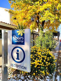 Photos du propriétaire du Restaurant Flower Camping Altéa | Vic la Gardiole | Hérault - n°20