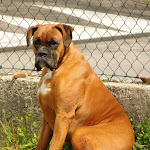 Photo n° 1 de l'avis de eric.e fait le 07/01/2020 à 18:40 pour Marie Blachère Boulangerie Sandwicherie Tarterie à Millau