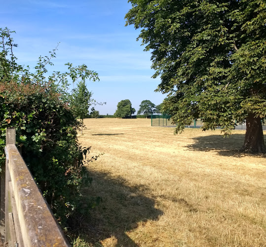 Opinii despre Studio One (Peterborough) Ltd în Peterborough - Photography studio