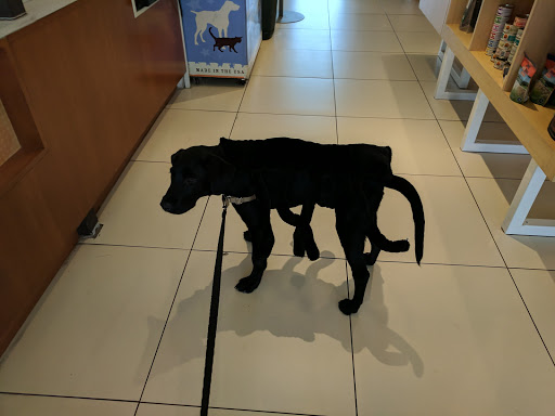 Pet Supply Store «Healthy Spot», reviews and photos, 1110 Wilshire Blvd, Santa Monica, CA 90401, USA