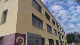 Alpha Aesthetics: Haartransplantation in Hannover