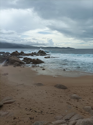 Fédération Départementale des Chasseurs de la Corse du Sud à Ajaccio