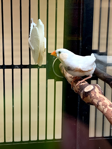 Pet Supply Store «PetSmart», reviews and photos, 1013 W University Ave, Georgetown, TX 78628, USA