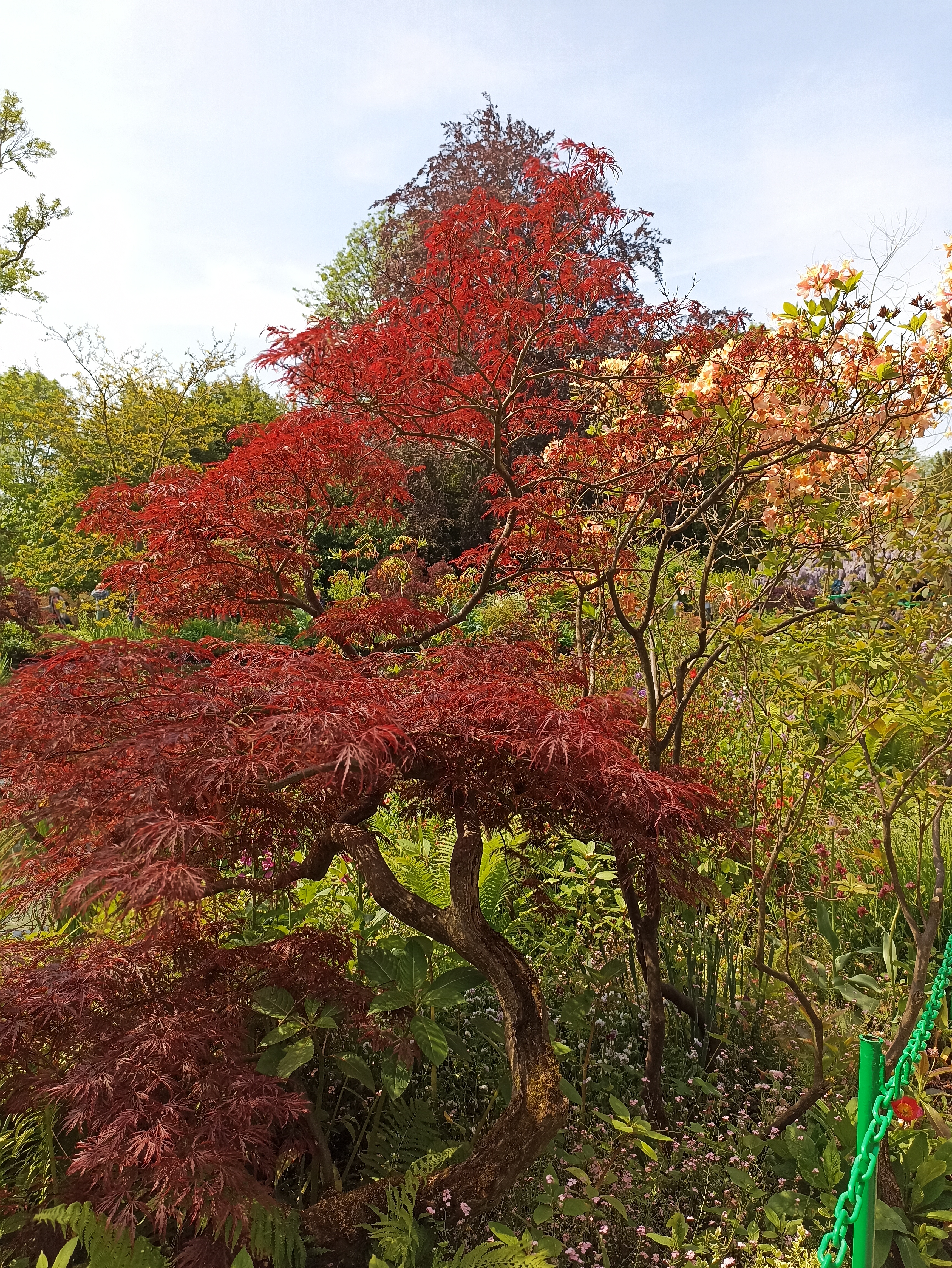 Photo n° 1 de l'avis de Dominique.o fait le 24/05/2023 à 14:50
