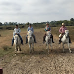Photo n° 2 de l'avis de Stan. fait le 23/08/2018 à 10:09 pour Manade Gilbert Arnaud à Saintes-Maries-de-la-Mer