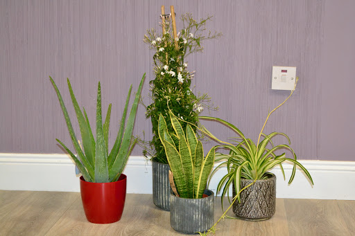 Hydrate | Wellness Store I Ballinalack in Mullingar, Co. Westmeath (An Iarmhí)