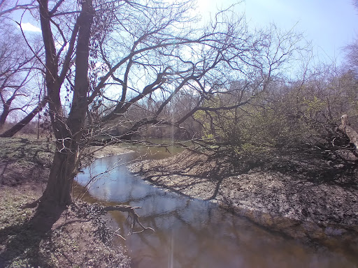 Tourist Attraction «Funky Bones», reviews and photos, 1850 38th St, Indianapolis, IN 46218, USA