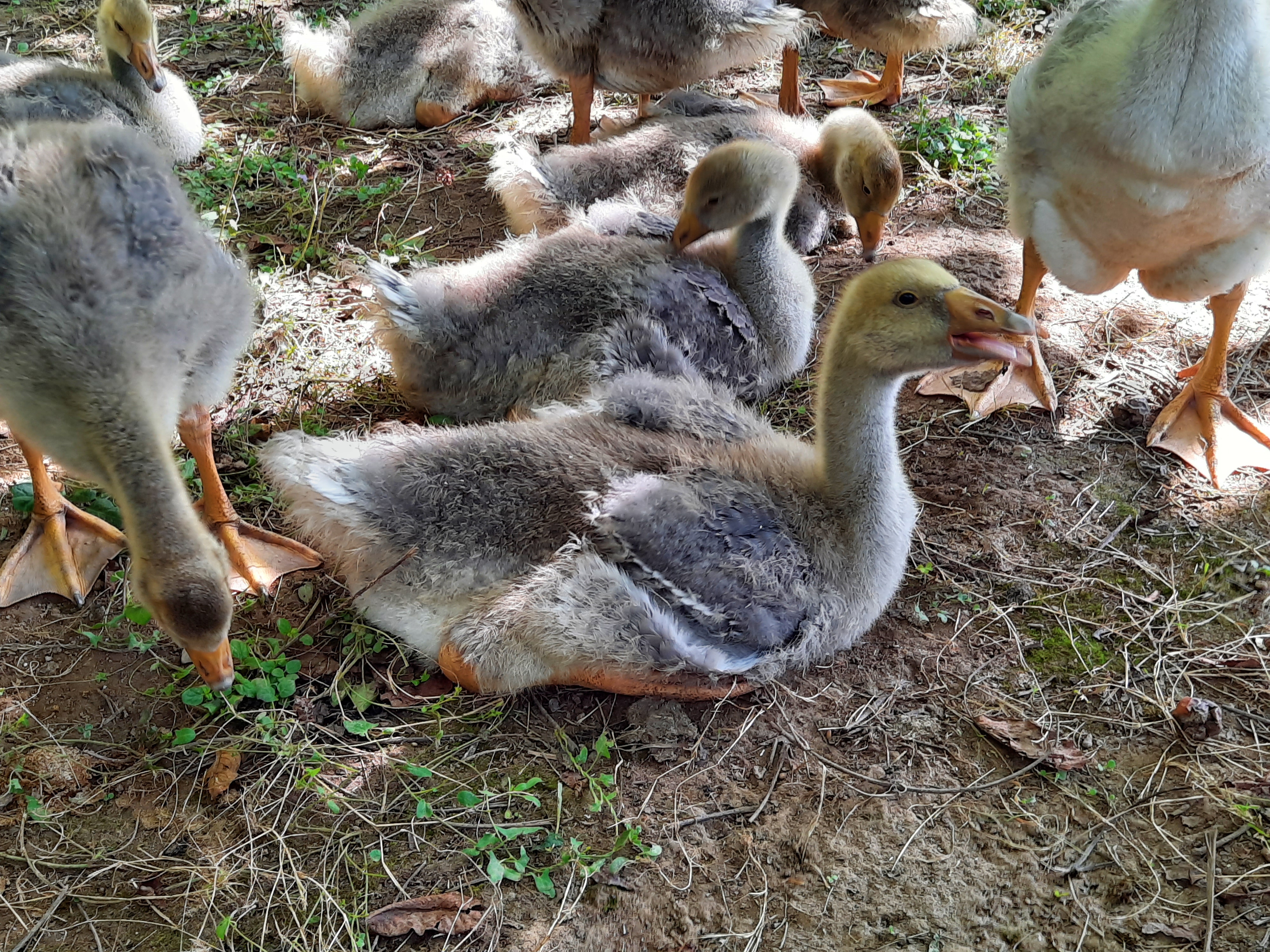 Photo n° 7 de l'avis de mary.h fait le 26/08/2020 à 14:43