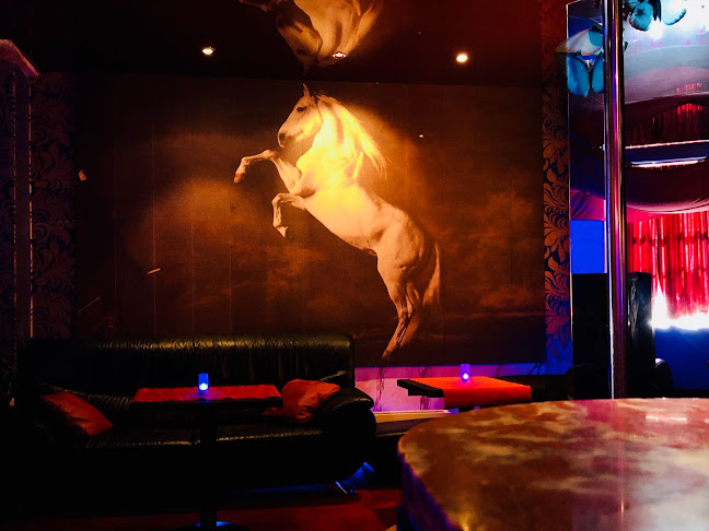 Crazy Horse Bar Cabaret - Zürich