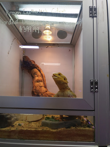 Pet Store «Animal Ark Pet Stores», reviews and photos, 33 Center St, Orem, UT 84057, USA