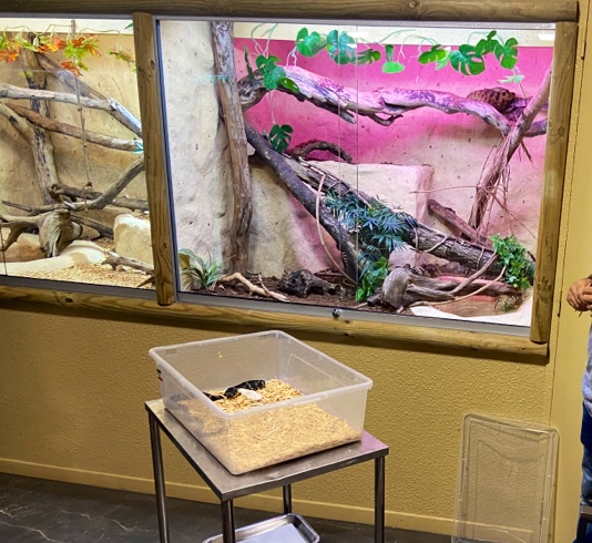 Photo n° 3 de l'avis de Wouter.r fait le 05/08/2023 à 12:24