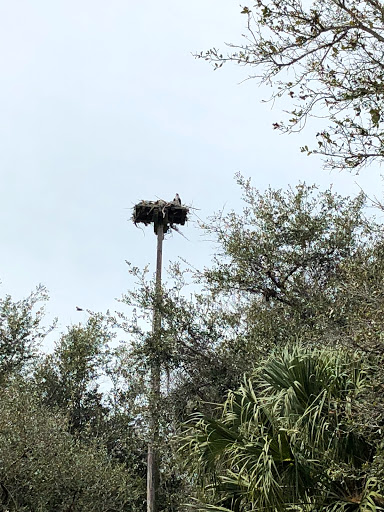 Nature Preserve «Cockroach Bay Aquatic Preserve», reviews and photos, 3839 Gulf City Rd, Ruskin, FL 33570, USA