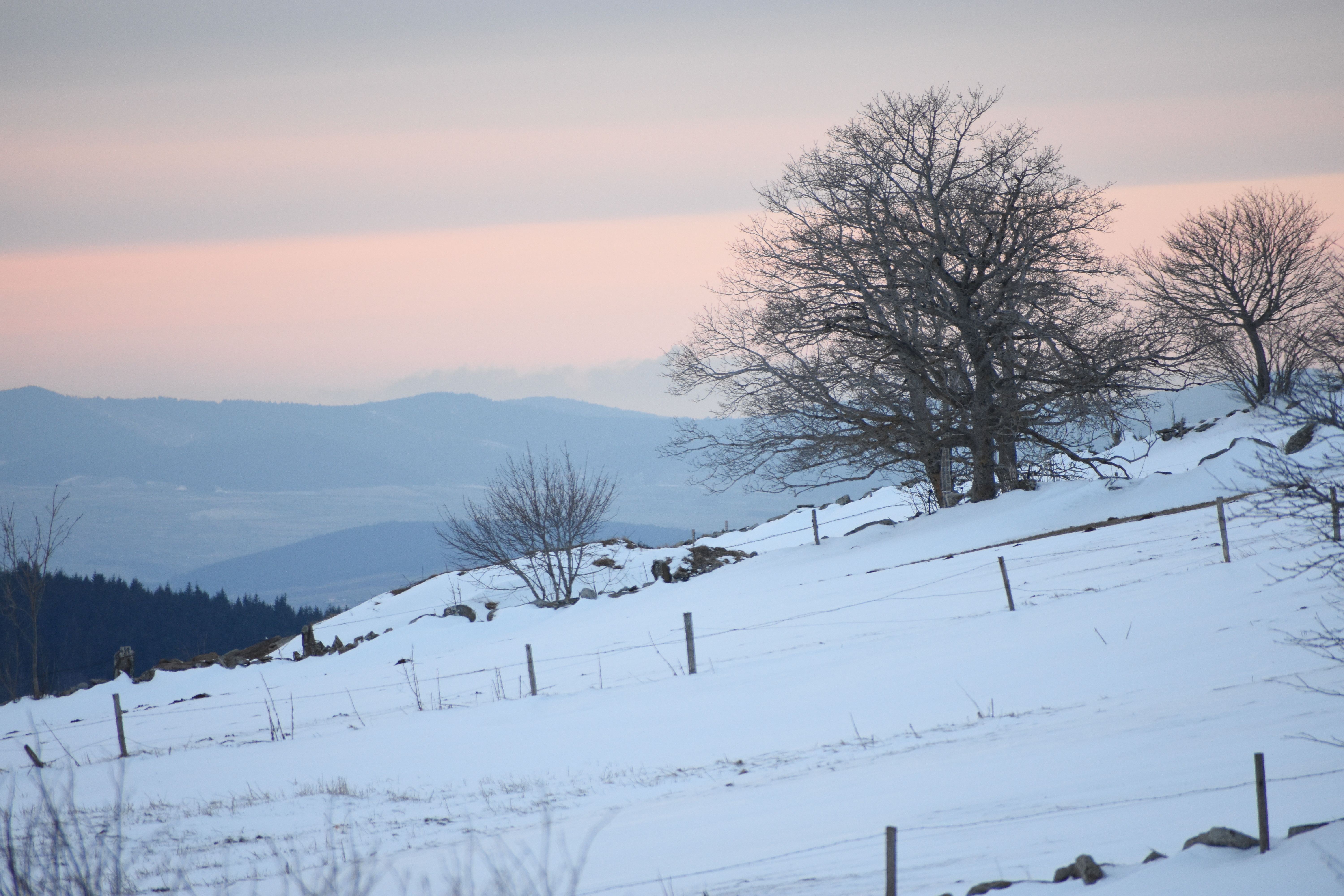 Photo n° 1 de l'avis de Pierrick.O fait le 19/01/2019 à 19:39