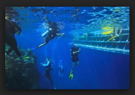 SCUBA Instructor «Sea Sports Scuba - Cypress», reviews and photos, 12001 Barker Cypress Rd, Cypress, TX 77433, USA