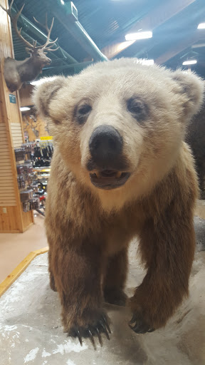 Sporting Goods Store «Midwestern Shooters Supply», reviews and photos, 191 Church St, Lomira, WI 53048, USA