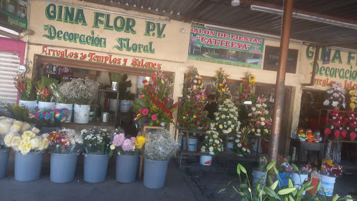Gina Flor P.V. – Acámbaro