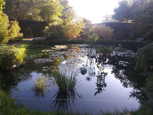 Napa Valley Ponds and Water Features