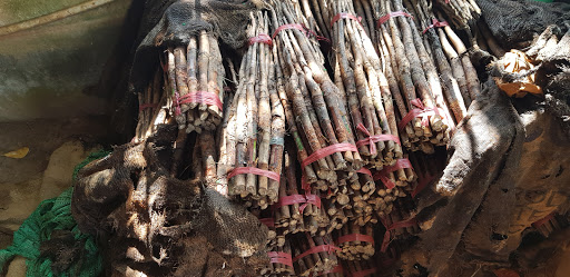 Top 20 cửa hàng online Huyện Phú Riềng Bình Phước 2022