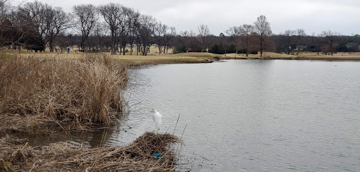 Golf Course «Sherrill Park Golf Course», reviews and photos, 2001 E Lookout Dr, Richardson, TX 75082, USA