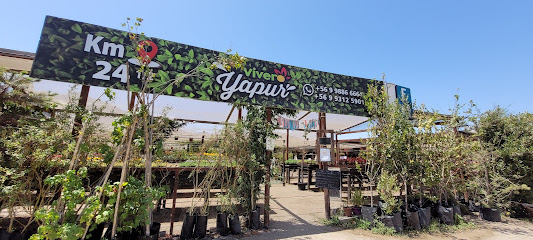 VIVERO YAPUR by jardines y riegos Yapur