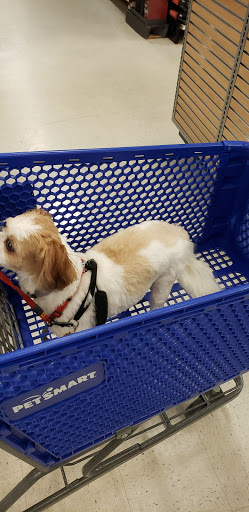 Pet Supply Store «PetSmart», reviews and photos, 30 Malphrus Rd, Bluffton, SC 29910, USA
