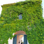 Photo n°1 de l'avis de Carmen.i fait le 03/06/2023 à 12:34 sur le  Masseria La Nuova à Veglie