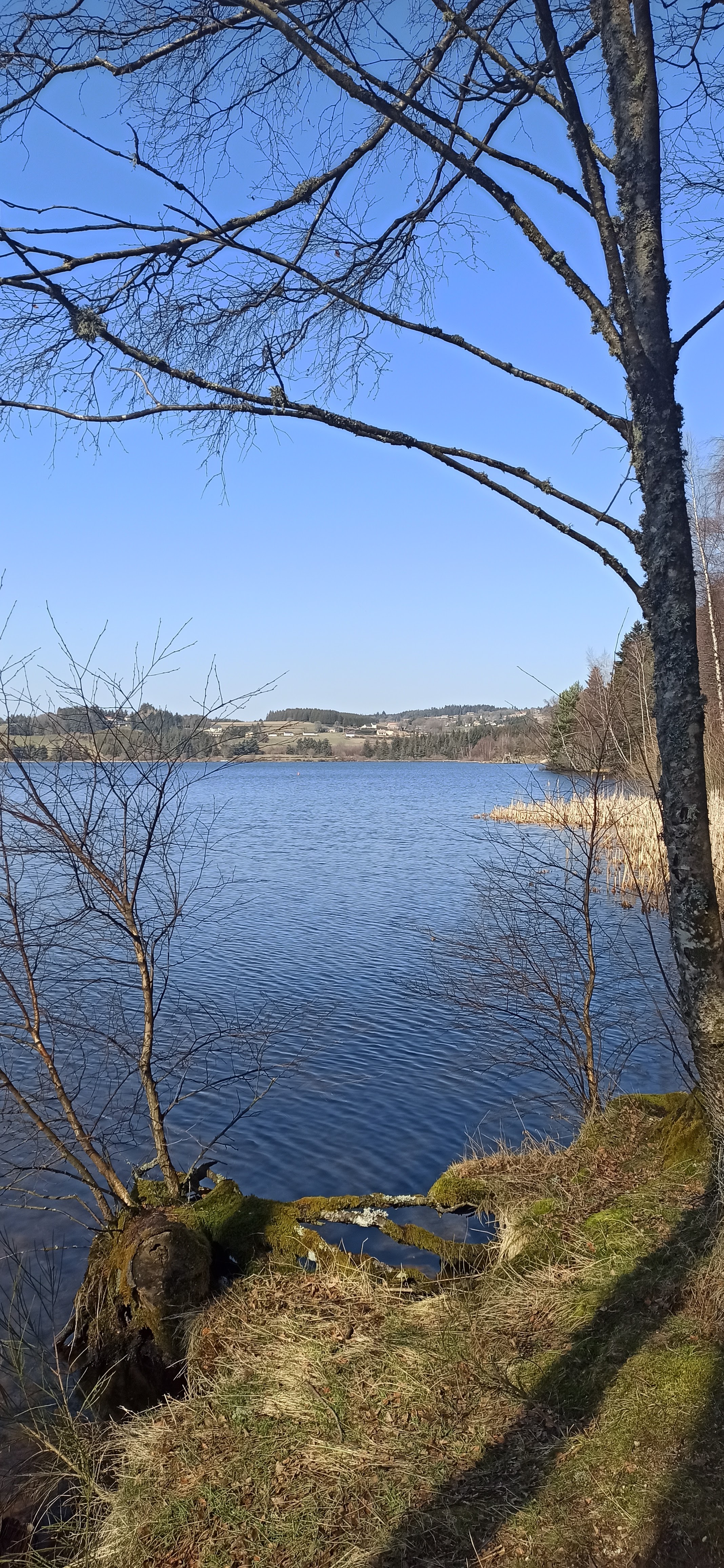 Photo n° 3 de l'avis de laurene.a fait le 28/02/2021 à 13:54