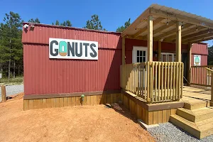 GONUTS image