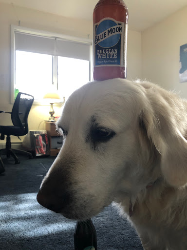 Liquor Store «Cork & Keg», reviews and photos, 188 Kinderkamack Rd, Emerson, NJ 07630, USA