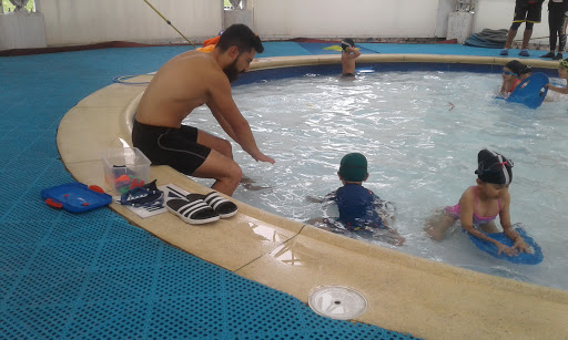 Escuela Deportiva Sauzalito Parque Sauzalito Cursos vacacionales de natacion, vacaciones recreativas